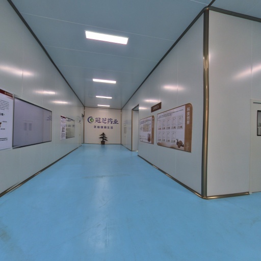 Công ty TNHH Dược phẩm Shandong Chong Chi