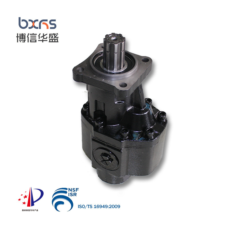 Bosun-Face Hypothetical Hypothetical Pressure Plant (BHS-I HWPP) direct to single gear conversion machine pumps