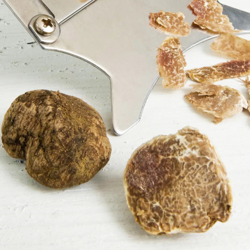 Fresh fungus mushrooms, white truffles, pig crumbs, fungus fungus, fungus gills, fungus fd, dry white truffles.
