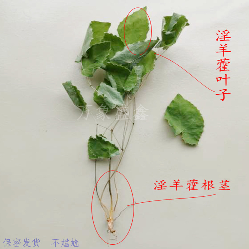 Một cây dương giá 20 gram được chọn bởi tinh trùng dày đặc cho những kẻ lượm lặt, hoang dã, nhỏ nhặt, lượm lặt, lượm lặt, lượm lặt, lượm lượm lặt, lượm lặt.