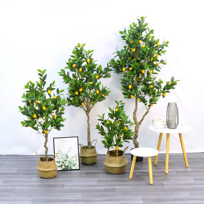 Nó giống như một thiết lập cây chanh giả.