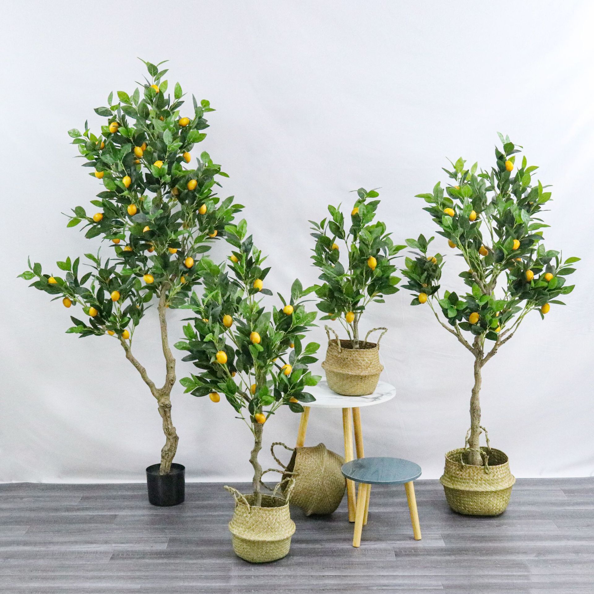 Nó giống như một thiết lập cây chanh giả.
