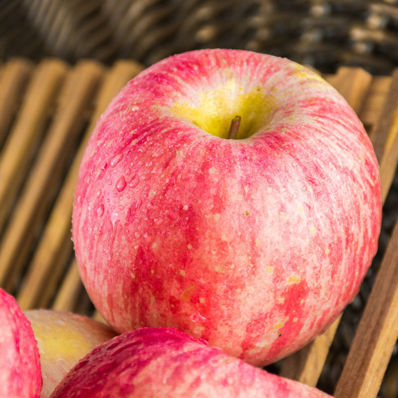 The new Red Fuji Apple is fresh in the season.