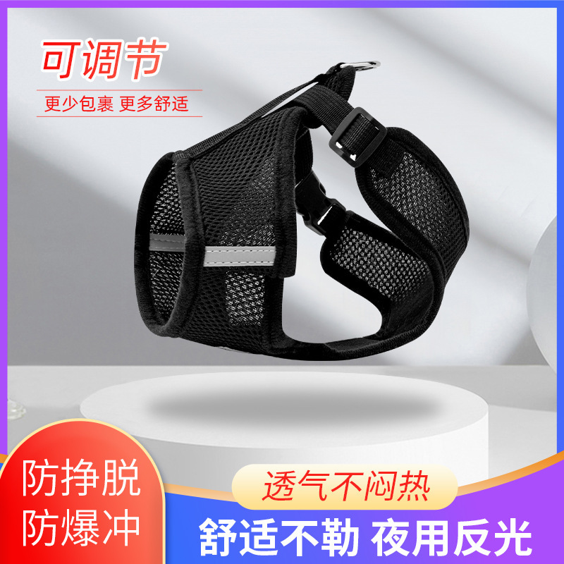 Chó mặc áo chống đạn của chó và cổ chó