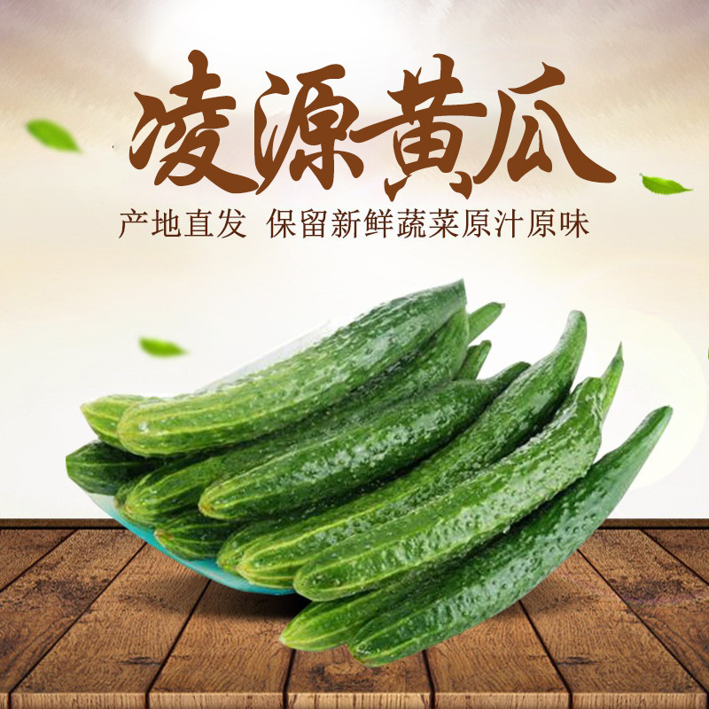 Sản phẩm của nhà máy là cho dưa chuột xanh trong hộp quà 4kg, được dùng để cho rau trộn.