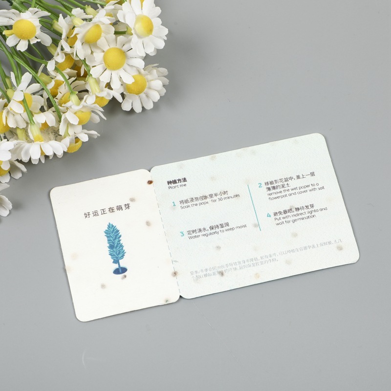 Creative design of seed card sprouts invitation coupons for weddings