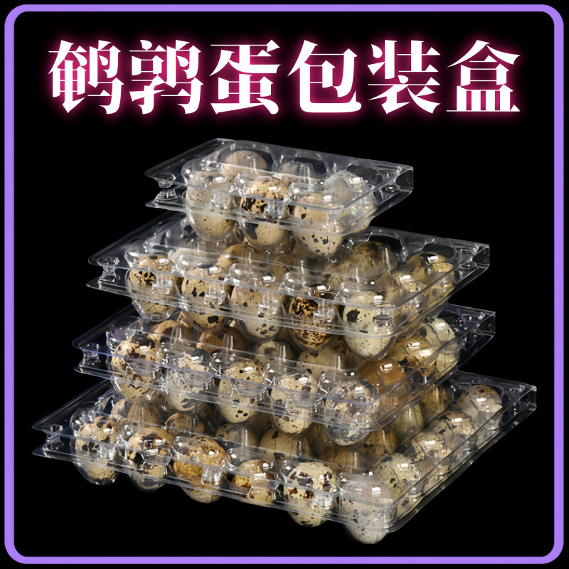 Parcel 달걀 팩 세트 12 capt-transparent quail 계란 tossed 플라스틱 상자 도매