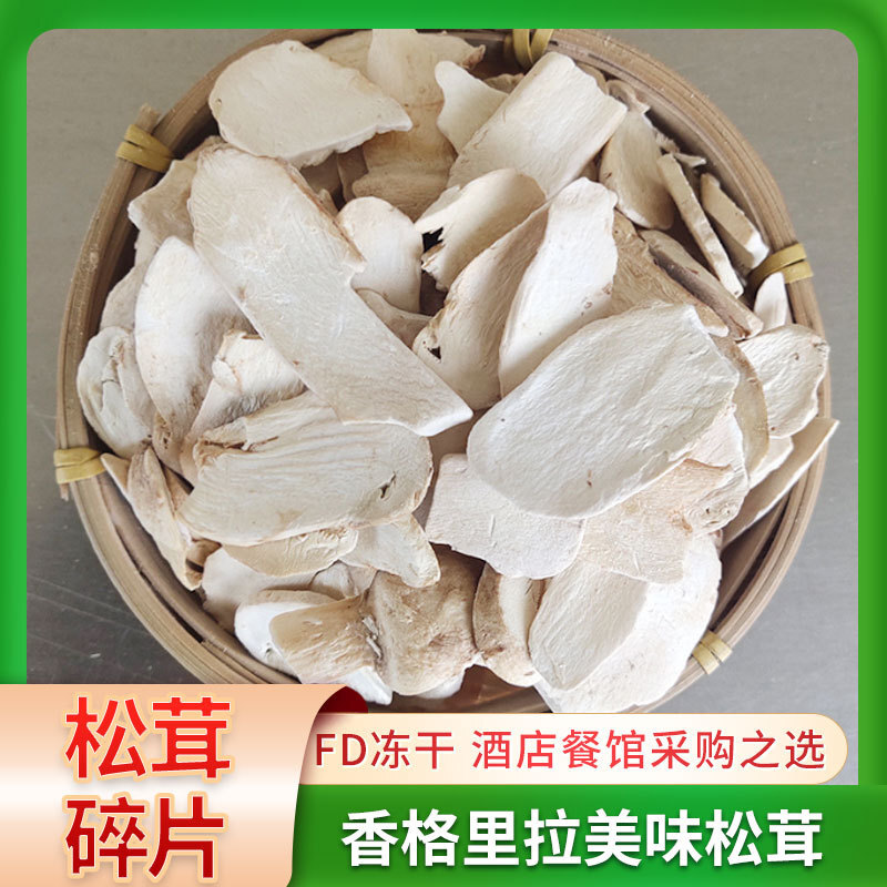 FD tundra pine fungus non-fresh natural growth fungi tundra mushroom dry