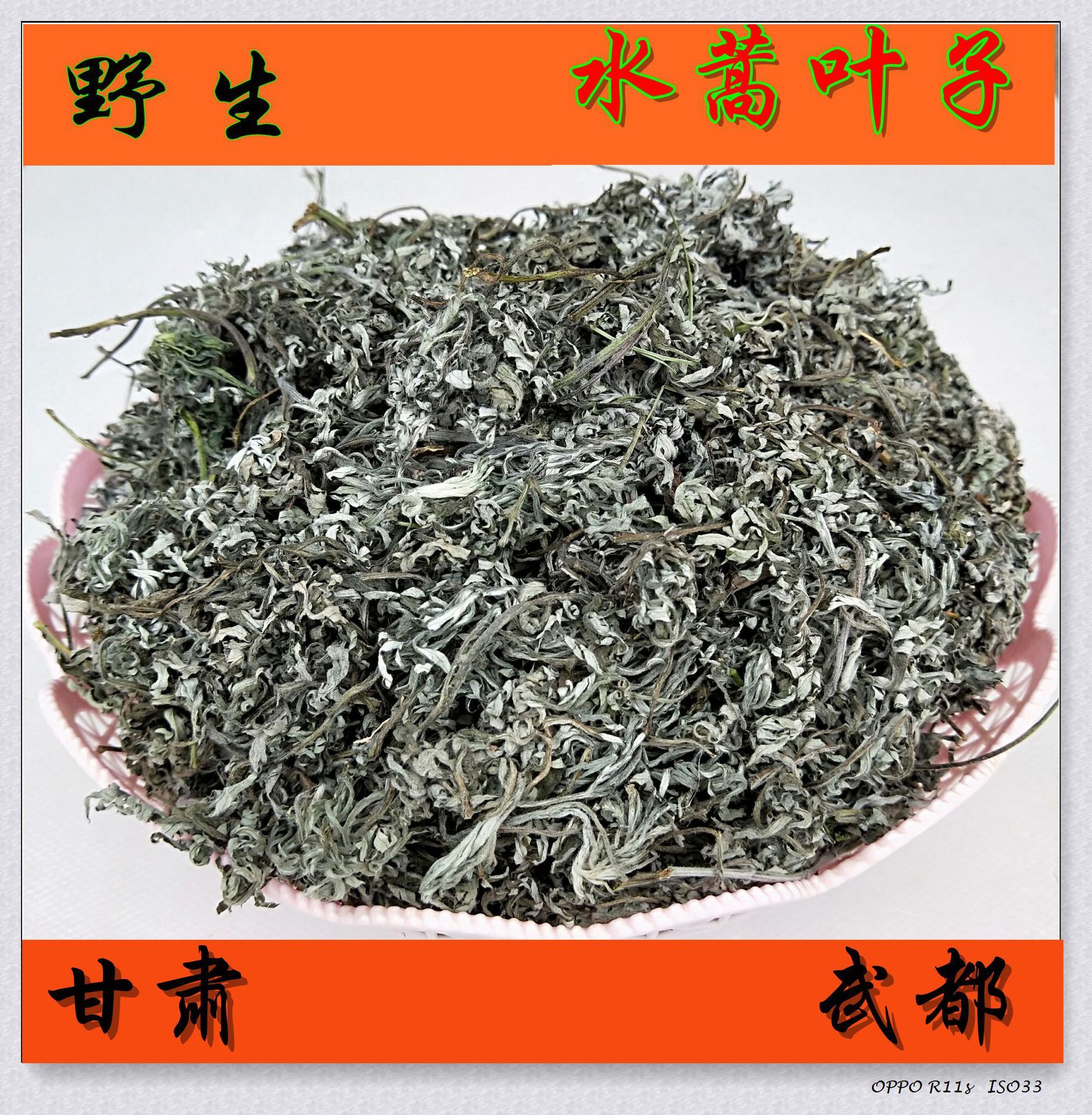 Những con thú rừng, sự phát triển hoang dã ở dãy núi Tầnba, một nguồn sản phẩm, những chiếc lá đẹp đẽ, sản xuất hàng loạt.