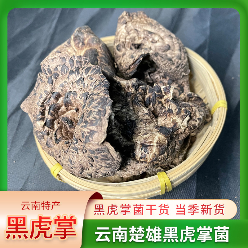 Yunnan Chu Hsiung makes fresh fungus soup mushrooms and mushrooms and black tigers dry.