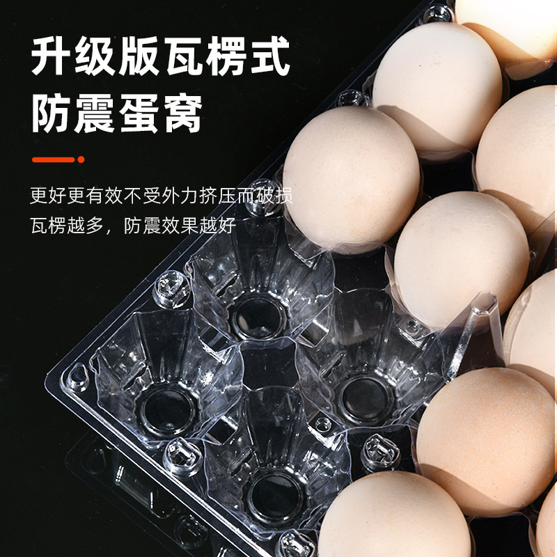 Piet와 두꺼운 계란 포장 상자.