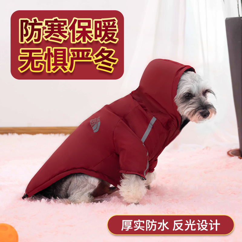 Những con vật nuôi, vào mùa xuân và mùa thu, những con chó con, trong cái lạnh và mưa, mèo, trong gương, trong ánh sáng.
