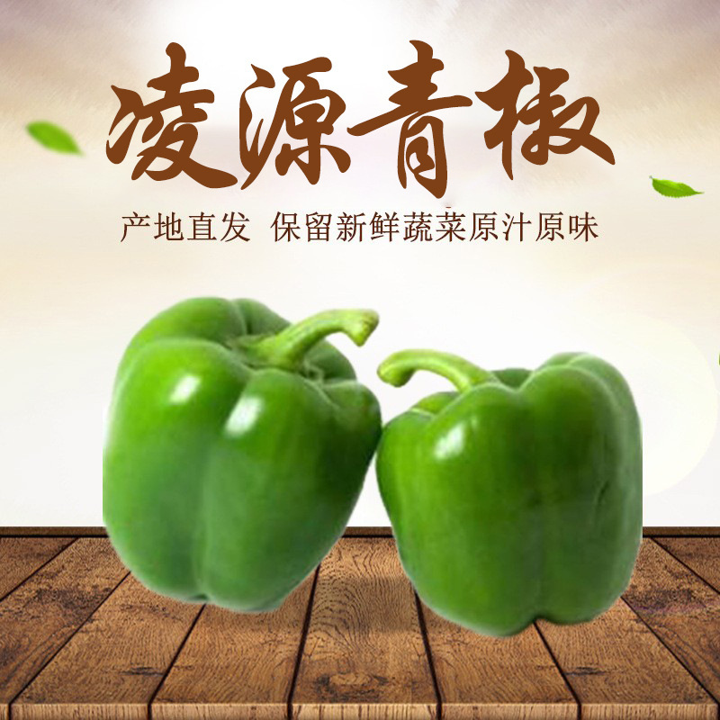 The factory's wholesale production site is a direct supply of fresh green peppers with a box full of round family vegetables to feed.