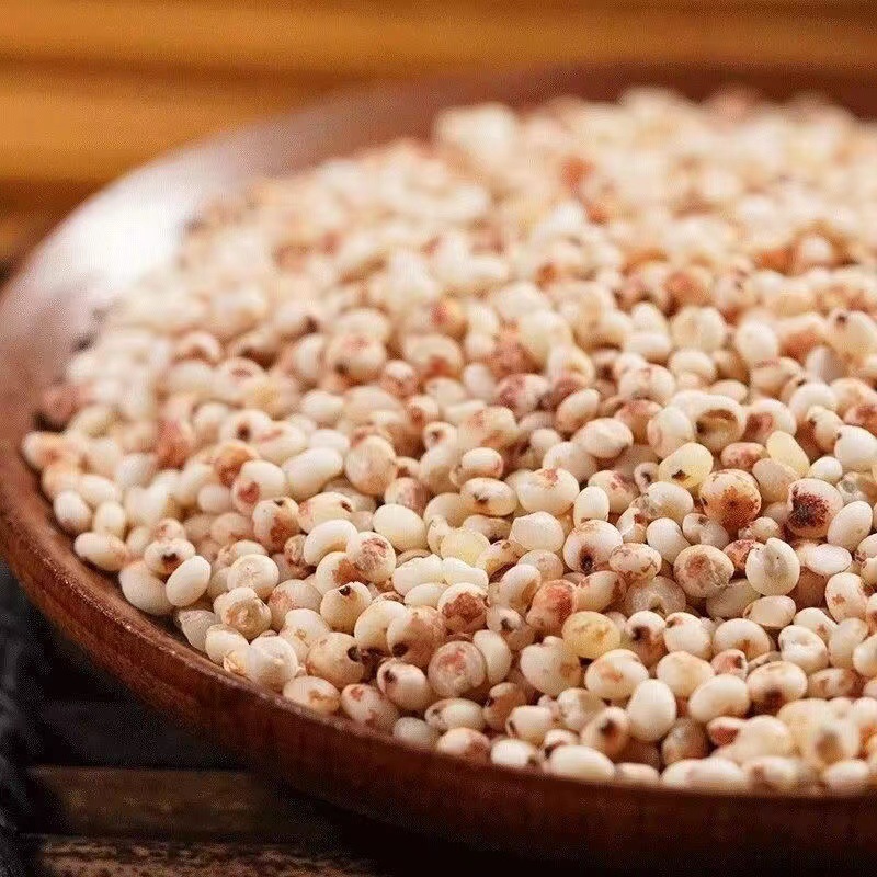 Sorghum.
