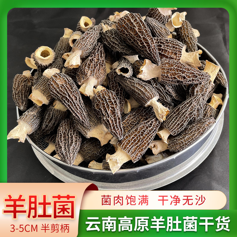 3-5CM Một vòng bán cắt bao quy đầu.