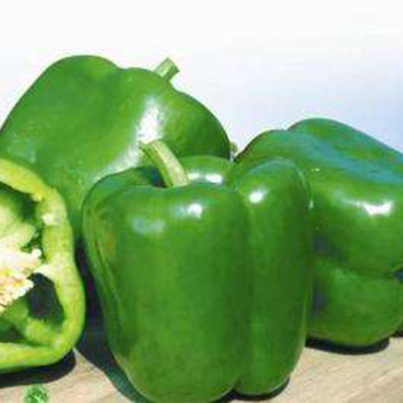 The factory's wholesale production site is a direct supply of fresh green peppers with a box full of round family vegetables to feed.