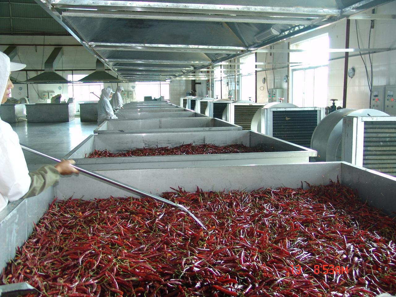 Yunnan chili packs 1-5mm processed and exported raw material for direct supply to the factory