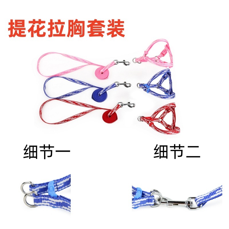 Sắp xếp cho các thú cưng bán hàng nóng được ghép và ghép vào lưng một con chó và những con chó nhỏ ở nhà máy dây chó.