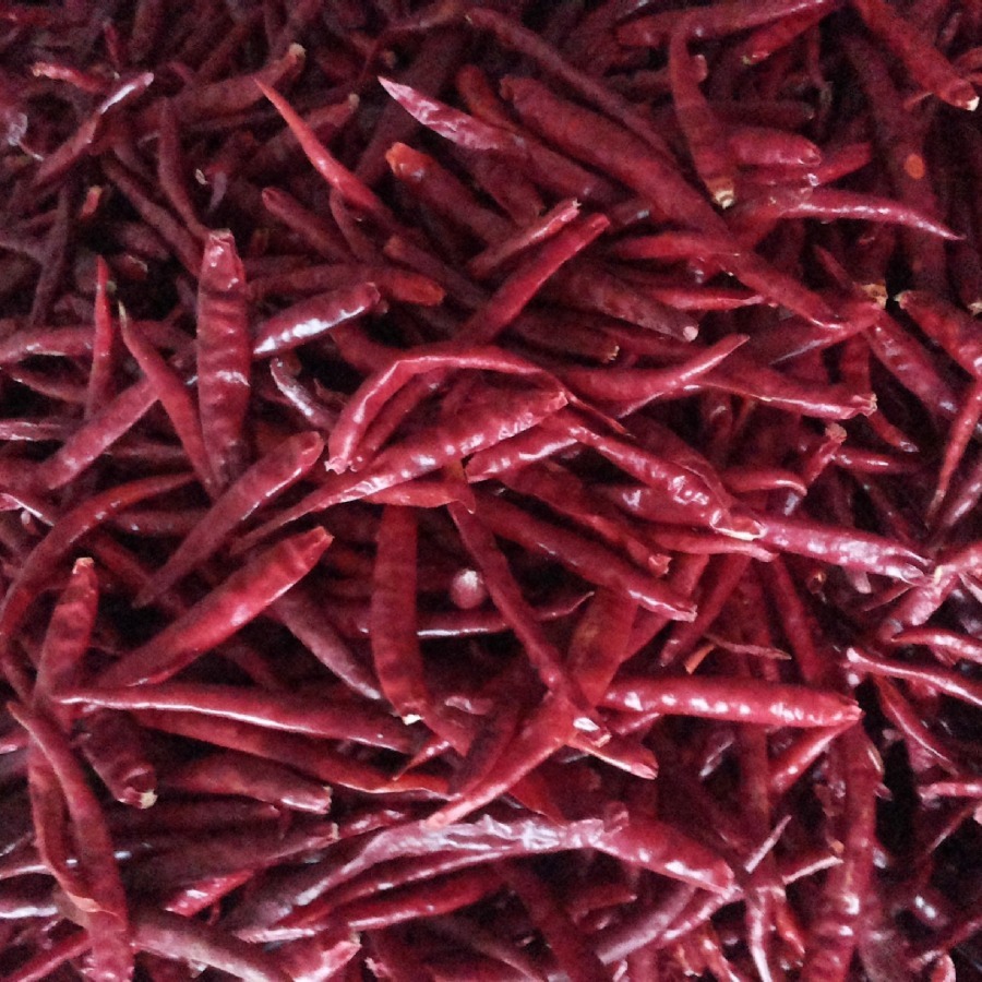 Yunnan little peppers, hot peppers, hot peppers, hot peppers.