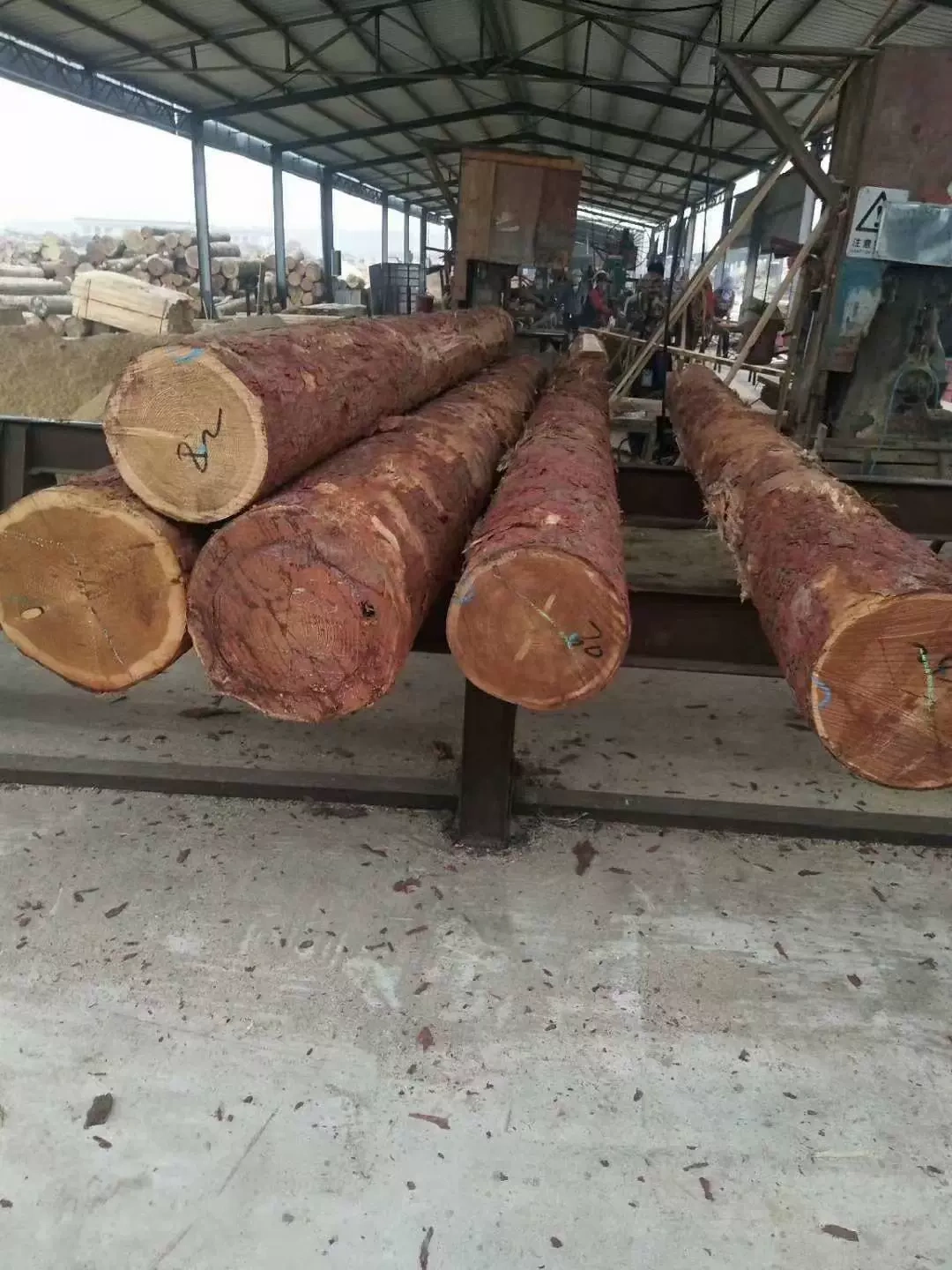 Công ty TNHH Tạp chí Công nghiệp Thượng Hải