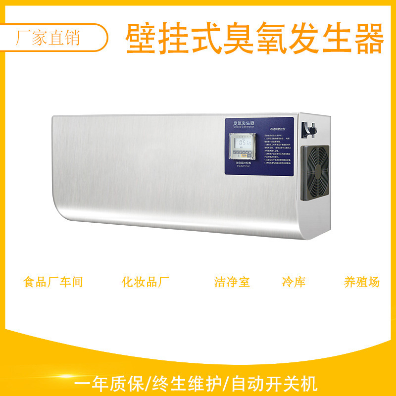 10 g walled ozone generator automatic timing switch food workshop cosmetics workshop disinfected