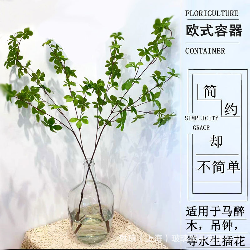 The Export Transparent Landscape Decoration Plantation