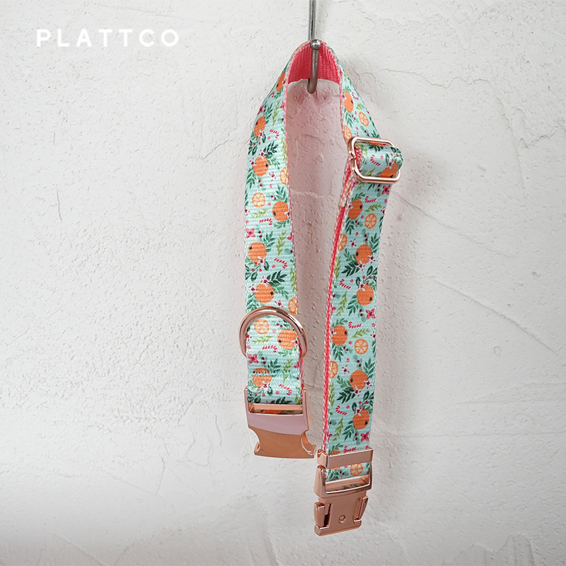 Thú cưng mới của PLATTCO.