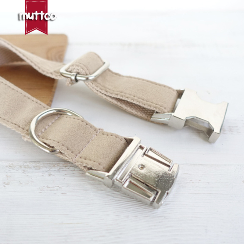 Creative design of Teddy's dog collar.