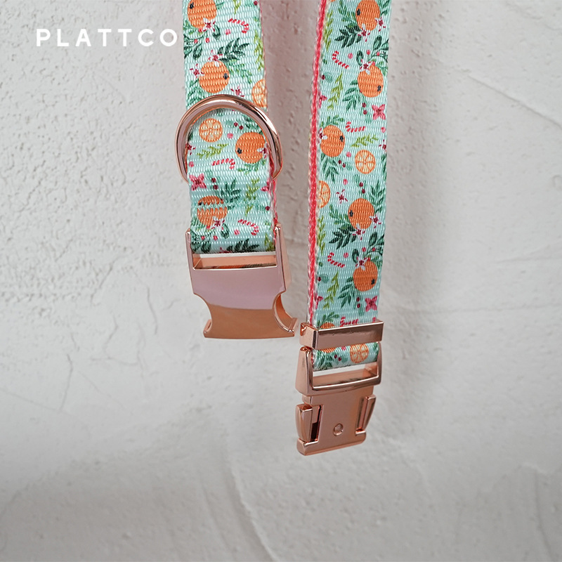 Thú cưng mới của PLATTCO.