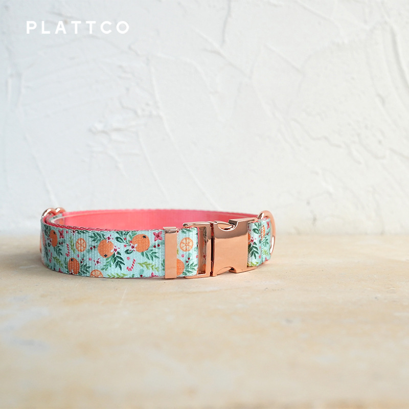Thú cưng mới của PLATTCO.