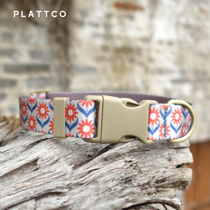 PLATTCO, một công ty cung cấp cổ áo cho chó để trang trí hạnh nhân.
