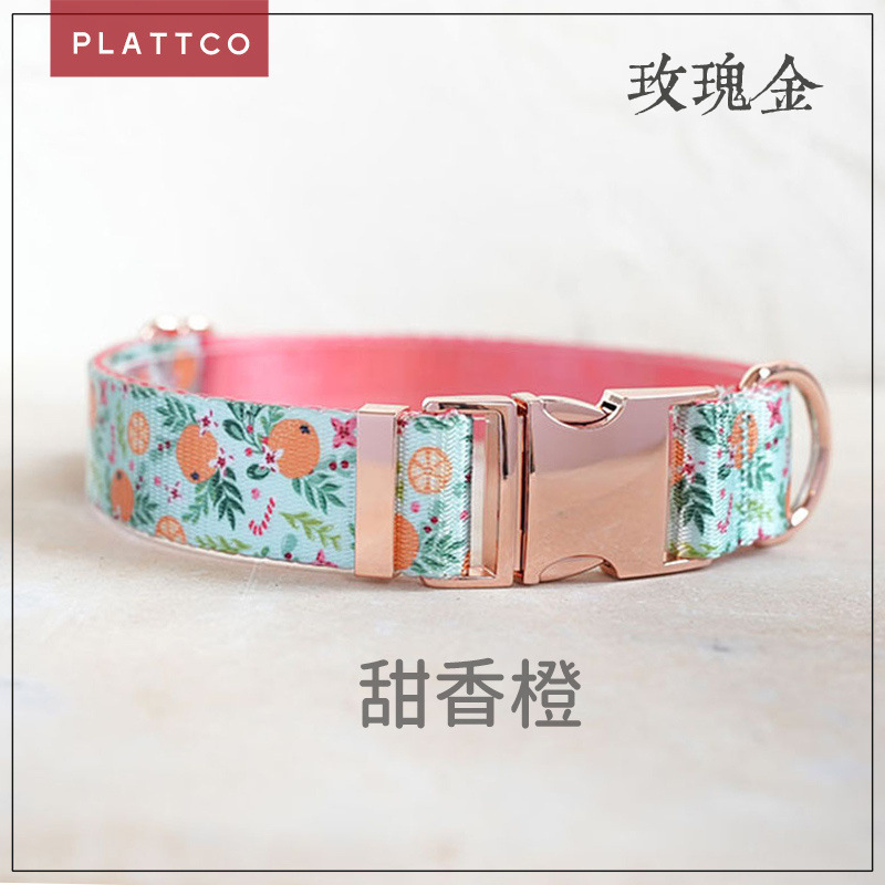 Thú cưng mới của PLATTCO.