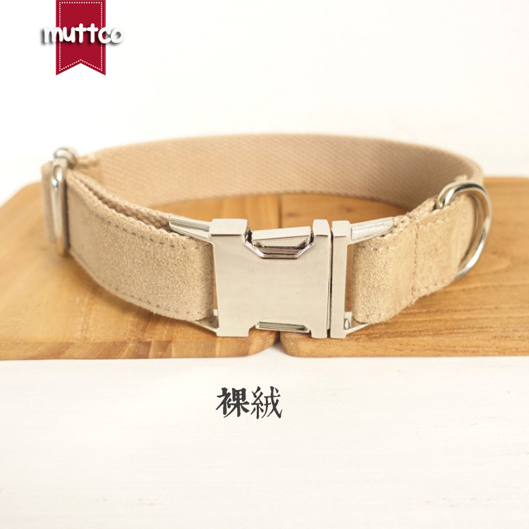 Thiết kế cổ áo chó của Teddy.