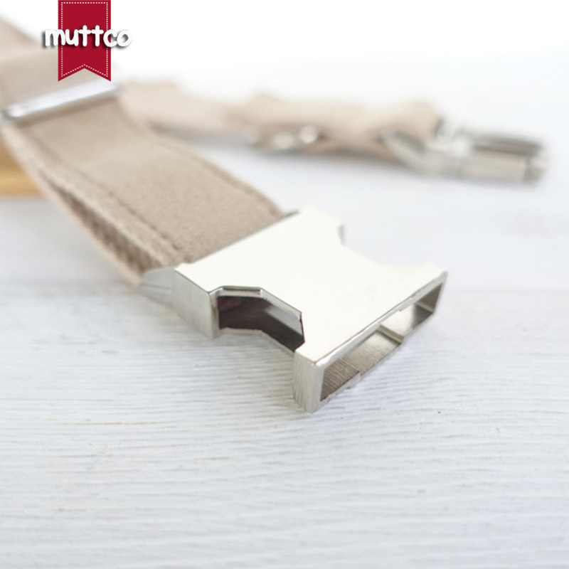 Creative design of Teddy's dog collar.