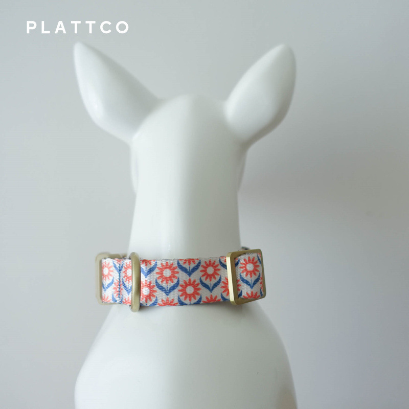 PLATTCO, một công ty cung cấp cổ áo cho chó để trang trí hạnh nhân.