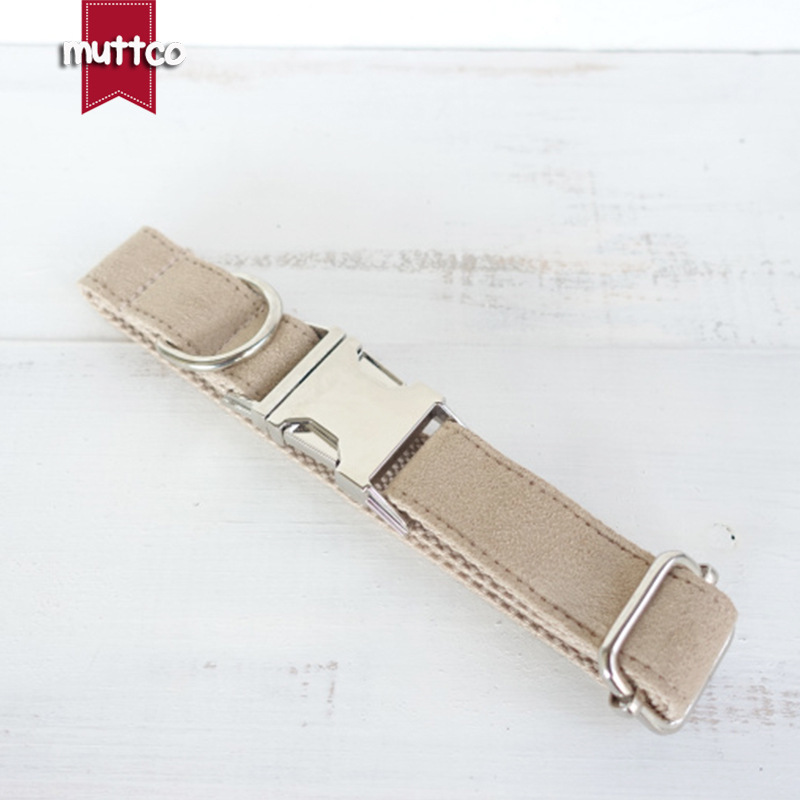 Creative design of Teddy's dog collar.