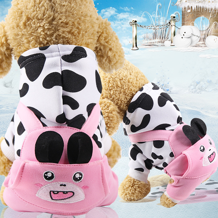 Mùa thu và mùa đông, thú nuôi bốn chân, mèo và mèo, quần áo của Teddy Fardow, mùa thu và quần áo mùa đông ấm áp và dày hơn.
