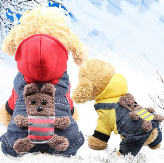 Cậu bé gấu với con chó 4 chân Teddy Cats, thú nuôi với đồ tiếp tế.