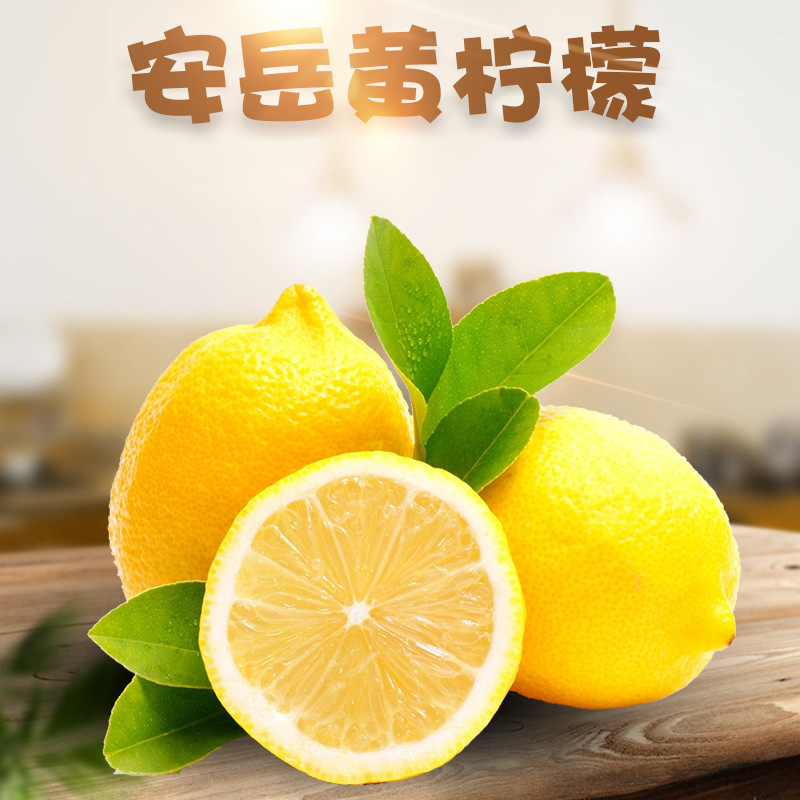 Nước hoa, chanh vàng, 5 pound da trái cây tươi, trái cây tươi, không phải chanh khô.