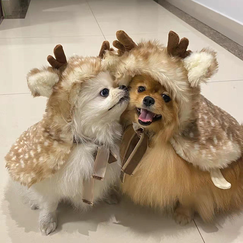Nhà máy đã tùy chỉnh áo choàng nai để giữ ấm cho chó và quần áo mèo.