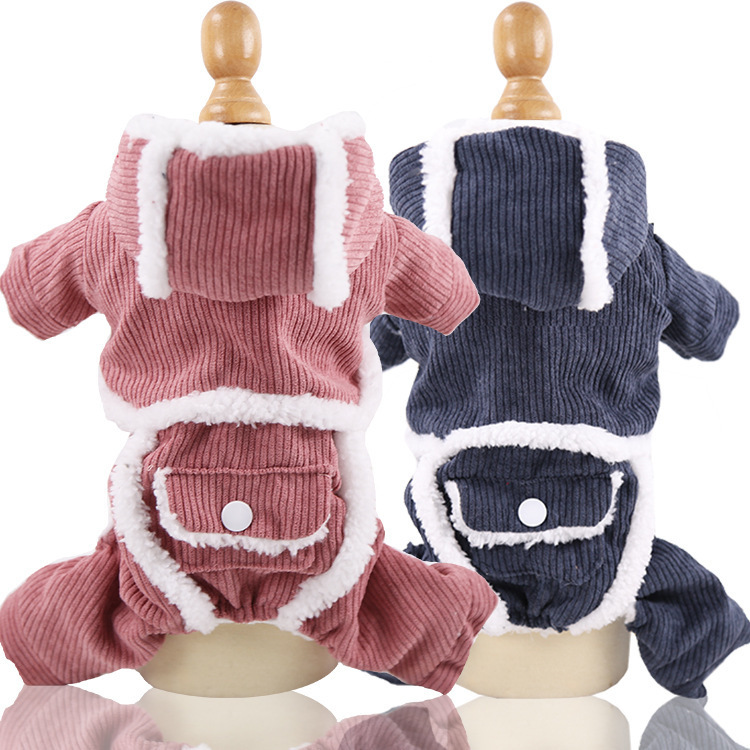 Cậu bé gấu với con chó 4 chân Teddy Cats, thú nuôi với đồ tiếp tế.