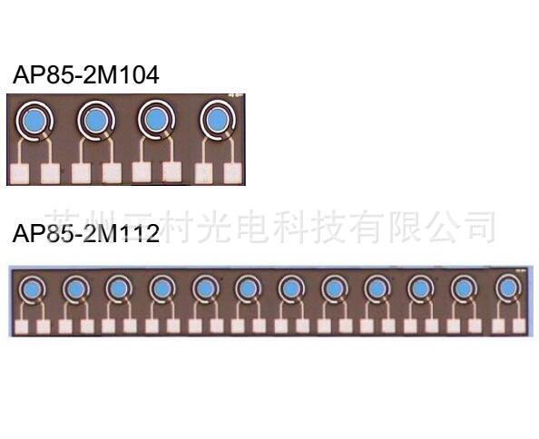 1x12 PIN-diode photo chip 3.125G GaAS PIN-PD Array 850nm
