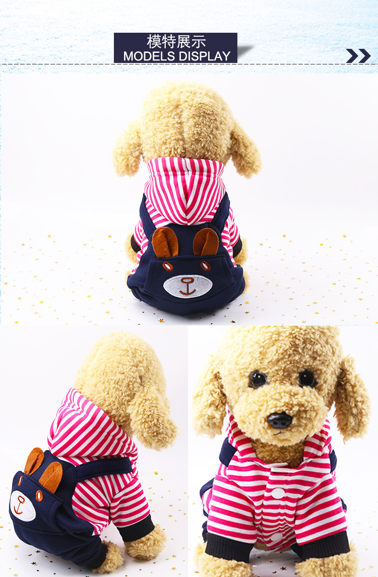 Mùa thu và mùa đông, thú nuôi bốn chân, mèo và mèo, quần áo của Teddy Fardow, mùa thu và quần áo mùa đông ấm áp và dày hơn.