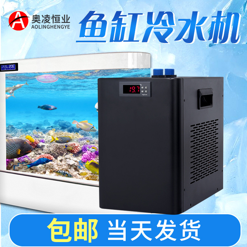 Airline cooler fish tank.