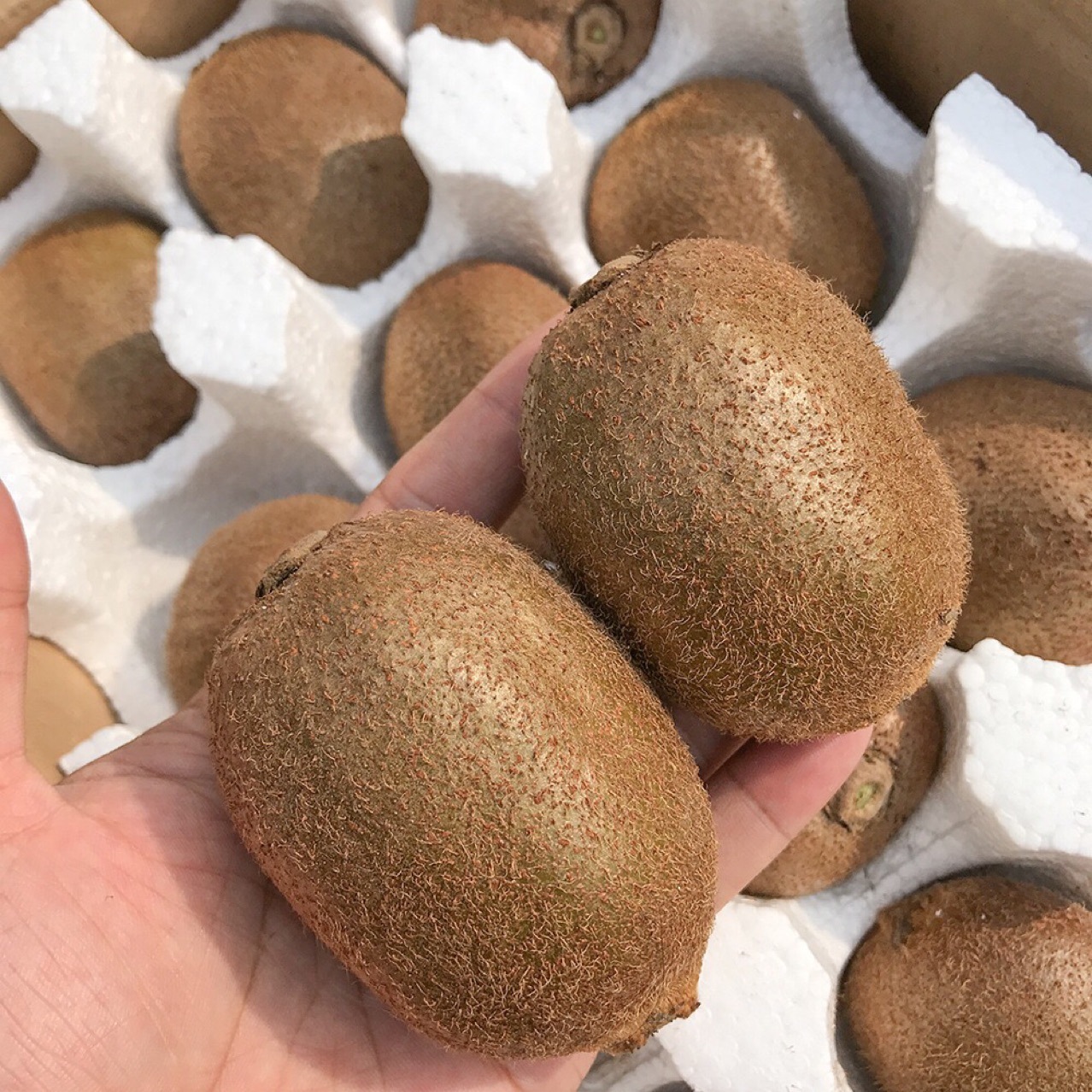 페이스북