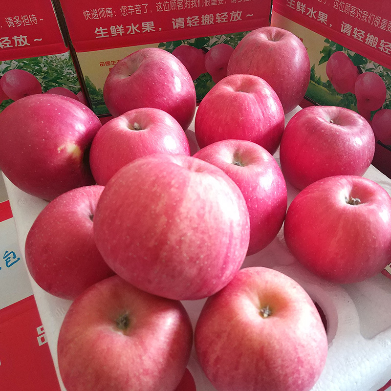 ♪ Silokwa Red Rich Apple ♪