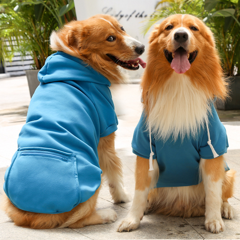 Một cái thắt lưng mới cho mùa thu và mùa đông.