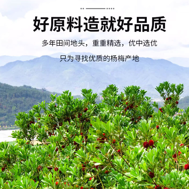 Sáng mai tôi sẽ về.