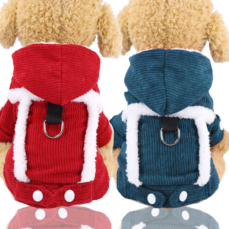 Cậu bé gấu với con chó 4 chân Teddy Cats, thú nuôi với đồ tiếp tế.