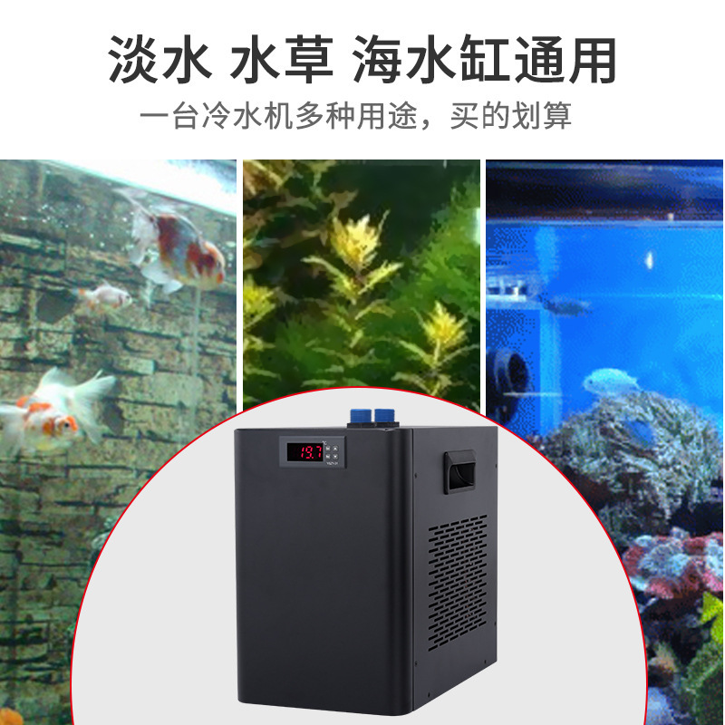 跨進YSZY-01魚缸冷水機家用小型外貿水冷機制冷機冰浴桶池製冷機